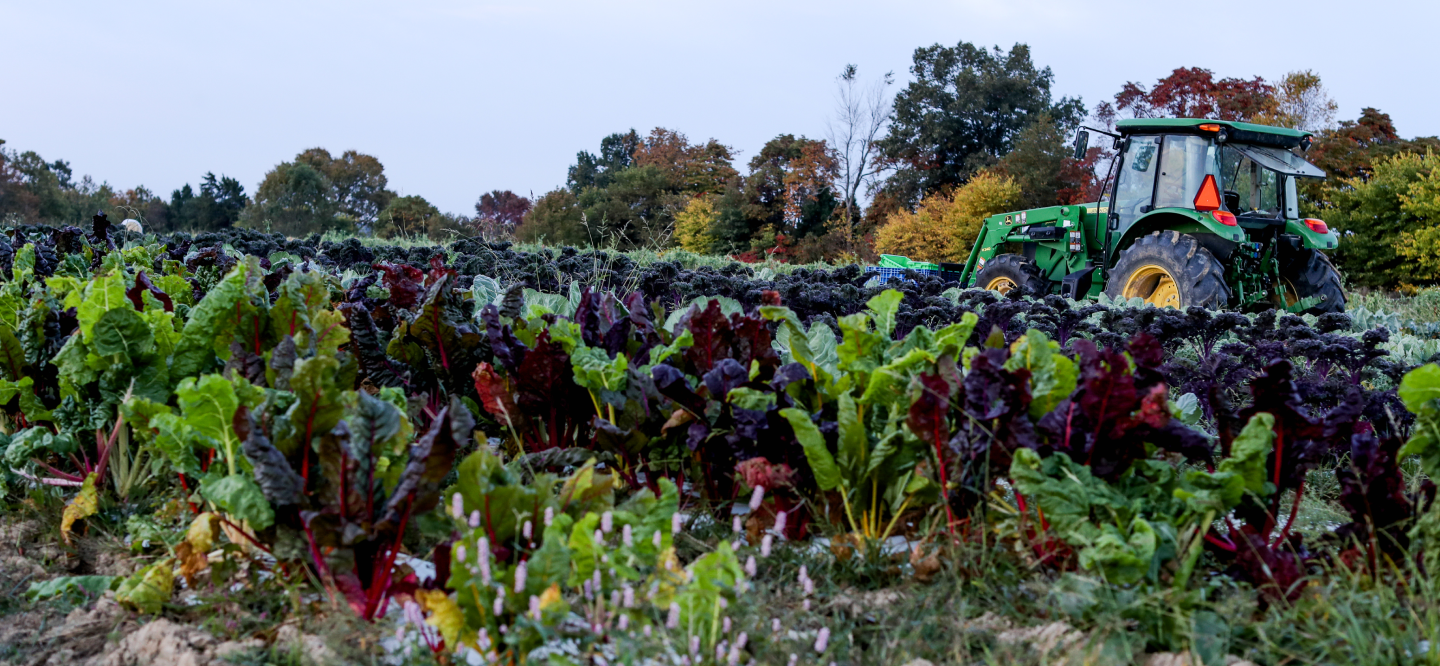 Barr Farm Pickup Locations Barr Farms Near Me